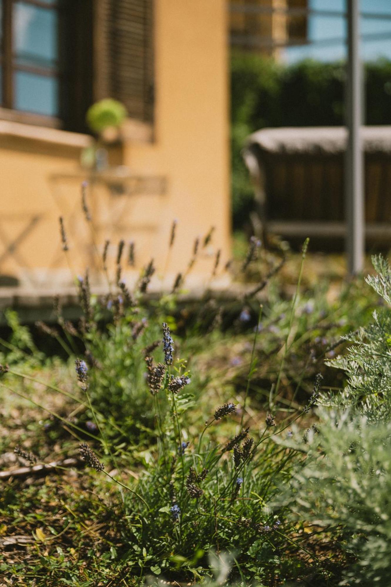 Casa Kiko Pecetto Bed & Breakfast Dış mekan fotoğraf